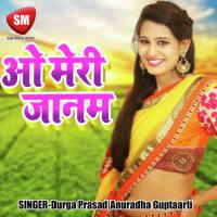 Sath Rahenge Janam Janam Tak Anuradha Gupta Song Download Mp3
