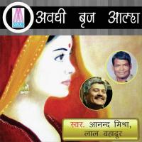 Pathri Garh Ki Ladai (Version 1) Aanand Mishra Song Download Mp3