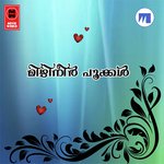 Nilavum Nin Jafar Vadakara Song Download Mp3