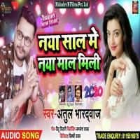 Naya Saal Me Naya Maal Mili Gunjan Singh Song Download Mp3