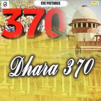 Dhara 370 Babua Dilkash Song Download Mp3