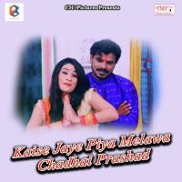 Devi Maai Ke Pranaam Rahul Thakur Vicky Song Download Mp3