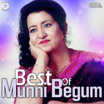 Teri Surat Nigahon Munni Begum Song Download Mp3