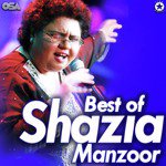 Tu Mera Tu Mera Shazia Manzoor Song Download Mp3