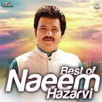 Mahi Meda Bonhun Sohna Naeem Hazarvi Song Download Mp3