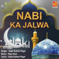 Har Zare Me Nabi Ka Jalwa Sajid Sultani Pagal Song Download Mp3