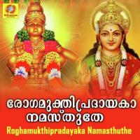 Roghamukthidayaka Sujithkrishna Song Download Mp3