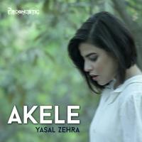 Akele Yasal Zehra Song Download Mp3