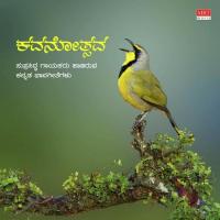 MATTHE ENDHU MEREVEYAMMA Mysore Ananthaswamy Song Download Mp3