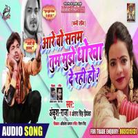 Are O Sanam Ankush Raja,Antra SIngh Priyanka Song Download Mp3