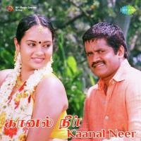 Yenakena Pirantha Vijay Yesudas,Saindhavi Song Download Mp3