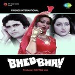 Do Dil Bichhad Ke Female Anuradha Paudwal Song Download Mp3