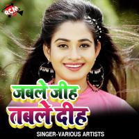 Hamra Coaching Me Ke Chhauri Santosh Dulara Song Download Mp3
