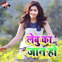 Rani Jab Le Tu Jiha Chandan Rasiya Song Download Mp3
