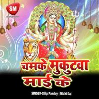 Vidya Ke Mandir Me Mauwat Batata Ashok Aryan Song Download Mp3