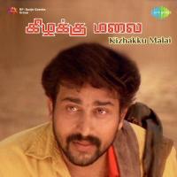 Roattila Meyithu Suresh Peter,Sujatha Mohan,Anupama Song Download Mp3