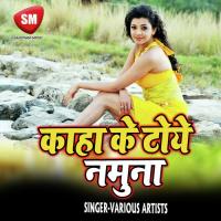 Gori Chalal Bajariya Rahiya Hilay Lagal Manu Bihari Song Download Mp3