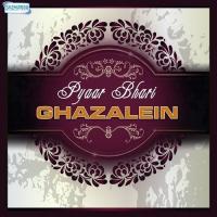 Teri Aankhon Ko (From "Mehdi Hassan - Vol. 1") Mehdi Hassan Song Download Mp3