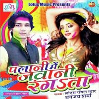 Holi Ke Rang Hamara Sangahi Dhananjay Sharma Song Download Mp3