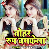 Tohar Roop Chamke La Pooja Rani Song Download Mp3
