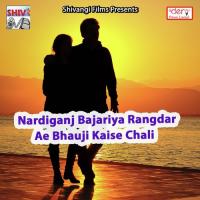 Nardiganj Bajariya Rangdar Ae Bhauji Kaise Chali Sonu Lal Yadav Song Download Mp3