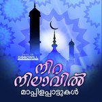 Kamukikoru Pranayaleghanam Thanseer Koothuparamba Song Download Mp3