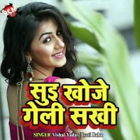 Saiya Ke Hokha Ta Night Fail Vishal Gupta Song Download Mp3