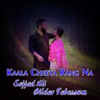 Kaala Cheeta Rang Na Dildar Tabassum,Sajjad Ali Song Download Mp3