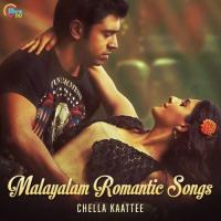 Chundari Penne Dulquer Salmaan Song Download Mp3