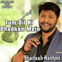 Tum Dil Ki Dhadkan Mein - Unplugged Bhai Lakhwinder Singh Ji Hazoori Ragi Sri Darbar Sahib-Amritsar Song Download Mp3