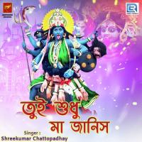Tui Shudhu Maa Janis Shreekumar Chattopadhay Song Download Mp3