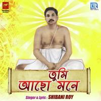 Tumi Acho Mone Shibani Roy Song Download Mp3