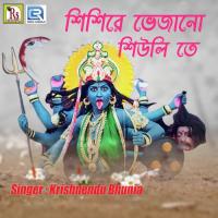 Sisire Vejano Siuli Te Krishnendu Bhunia Song Download Mp3