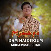 Mola Ghazi Musaddas Muhammad Shah Song Download Mp3