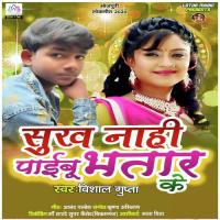 Sukh Naahi Paibu Bhatar Ke Vishal Gupta Song Download Mp3