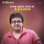 Kandena Govindana (From "Thananam Thananam") Ajay Warrier,K. S. Chithra Song Download Mp3