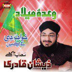 Sadia Ankhein Zeeshan Qadri Song Download Mp3