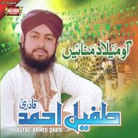 Jo Panjtan Ka Ghulam Hai Tufail Ahmed Qadri Song Download Mp3