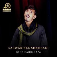 Sarwar Kee Shahzadi Syed Rahib Raza Song Download Mp3