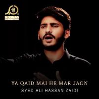 Ya Qaid Mai He Mar Jaon Syed Ali Hassan Zaidi Song Download Mp3