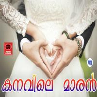 Kanavile Maran songs mp3