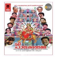 Palakkunnil Sree Bhagavathi M. Jayachandran Song Download Mp3