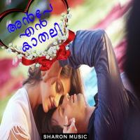 Ninne Kanan Prakash Song Download Mp3