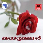 Anthiveyil Ameer Song Download Mp3