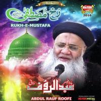 Qaseeda Burda Shareef (Array) Abdul Rauf Rufi Song Download Mp3