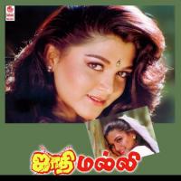 Manmatha Leelai S.P. Balasubrahmanyam,K.S. Chithra Song Download Mp3