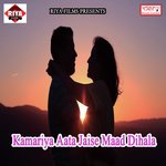 Album Gaave Lasan Ladki Patave Lasan Krishna Yadav Song Download Mp3
