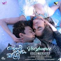 Veezhumee Teaser Vipin Lal Song Download Mp3