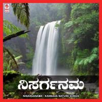 Ninna Naashrayisive Geetha Madhuri,Shantha Jayathirtha Song Download Mp3