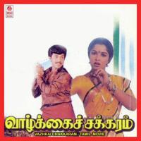 Enaku Nee S.P. Balasubrahmanyam Song Download Mp3